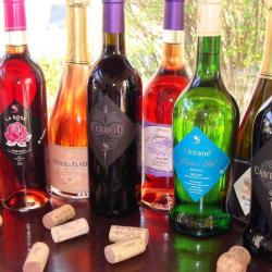 Domaine St Laurent De Saurs