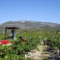 Domaine Saint Andrieu & Boisantin