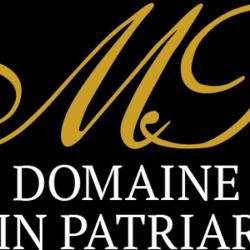 Domanie Alain Patriarche