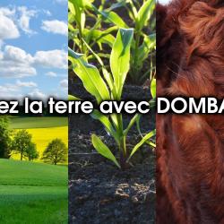 Dombagri - Deutz Fahr