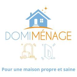 Domi Menage - Femme De Ménage