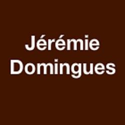 Domingues Jérémie