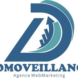 Domoveillance