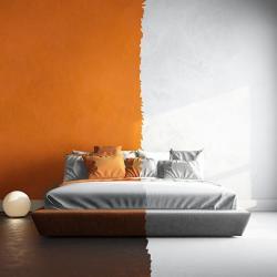 Domus Renovation 16