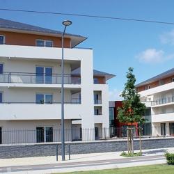 Domusvi