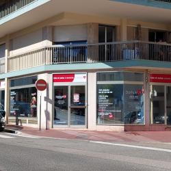 Domusvi