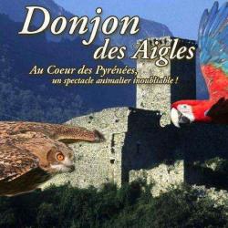 Donjon Des Aigles
