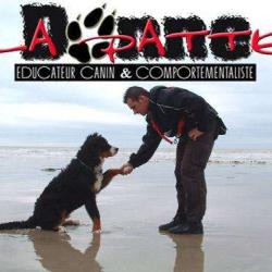 Donnelapatte Educateur Canin