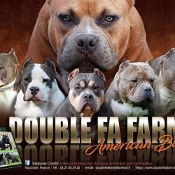 Doublefafarm
