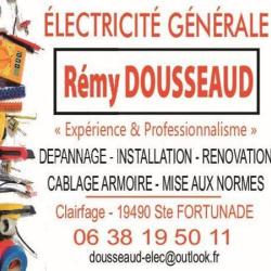 Dousseaud Rémy
