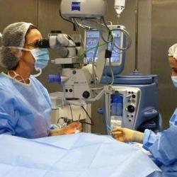Dr Bollot