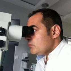 Dr Michel Basili