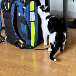 Dr Milou - Marseille - Vétérinaires à Domicile