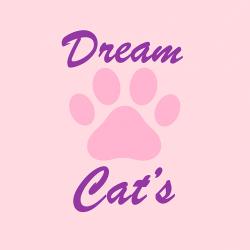 Dream Cat's ｜un Compagnon Pour La Vie - Comportementaliste Félin