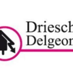 Driesch