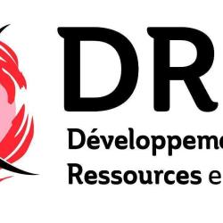 Drm Développement Des Ressources Et Mobilité