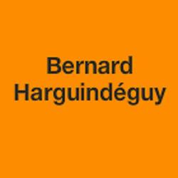 Droguerie Harguindéguy