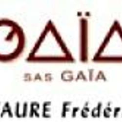 Faure Frédéric