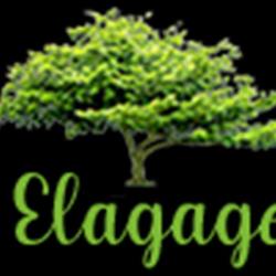 Ds Elagage 22