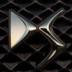 Ds Store