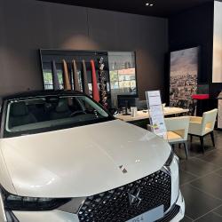 Ds Store Nice