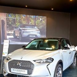 Ds Store Tours