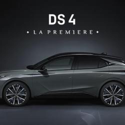 Ds Store