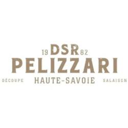 D.s.r Pelizzari