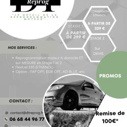 Dt'reprog