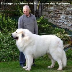 Du Val De Pyrene