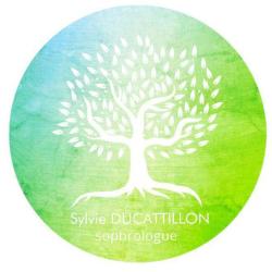 Sylvie Ducattillon