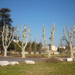 Ducoté De Vos Jardins