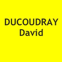 Ducoudray David
