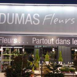 Dumas Fleurs