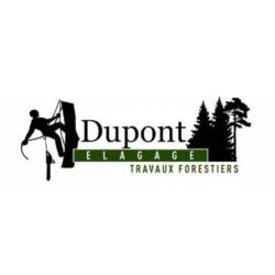 Dupont élagage