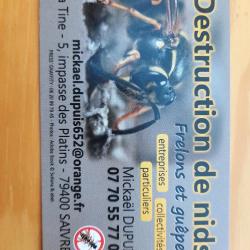 Dupuis Mickael