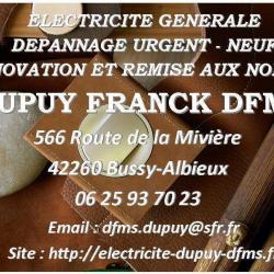 Dupuy Franck Dfms
