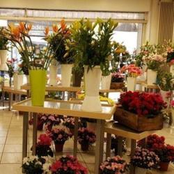 Duval Fleurs