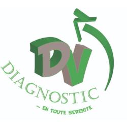 Dv Diagnostic