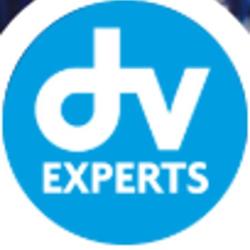 Dv Experts