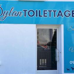 Dylan Toilettage