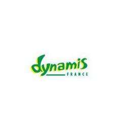 Dynamis France