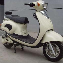 E-motorist