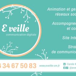 E Veille
