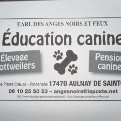 Earl Des Anges Noirs Et Feux