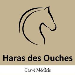 Earl Le Haras Des Ouches