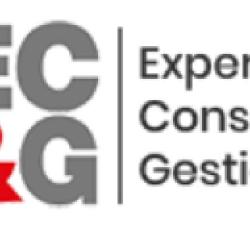 Ecg Conseils