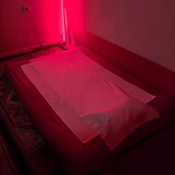 éclat Zen De Sophie