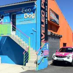 Eco Dog