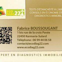 Ecodiag22
